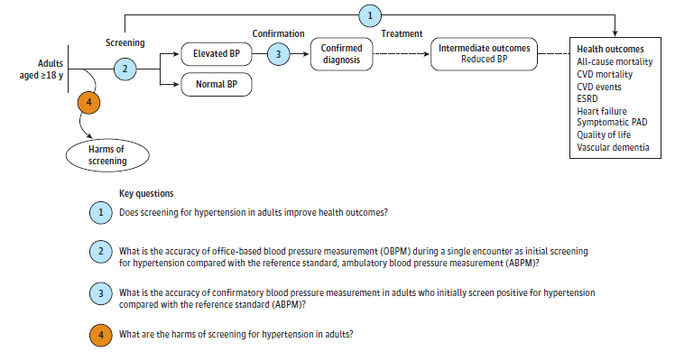 Figure 1 is the analytic framework that depicts the four Key Questions to be addressed in the systematic review. The figure illustrates how primary care screening for high blood pressure in adults may result in improved health outcomes, including all-cause mortality, cardiovascular disease mortality and events, heart failure, end-stage renal disease, symptomatic peripheral arterial disease, quality of life, and vascular dementia (KQ1). Additionally, the figure illustrates the accuracy of office-based blood pressure measurements in an initial screening for high blood pressure compared with the reference standard (ambulatory blood pressure measurement) (KQ2), and the accuracy of confirmatory blood pressure measurements in adults who initially screen positive for high blood pressure compared with the reference standard (KQ3). Lastly, the figure illustrates what harms may be associated with screening for high blood pressure in adults (KQ4).
