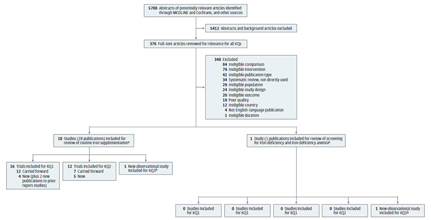 Across all KQs, 18 studies (reported in 28 publications) of maternal iron supplementation (17 RCTs  [N = 24023] and 1 observational study [N = 20690]) were included.