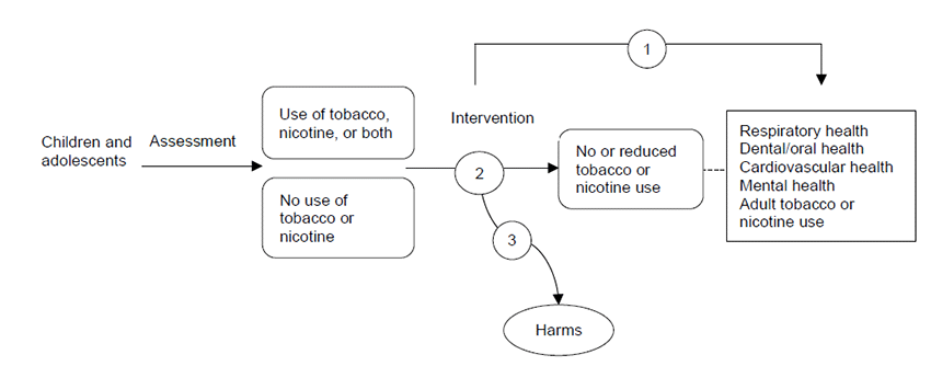 Figure 1 is an analytic framework that depicts the pathway children and adolescents may go through to prevent and/or stop tobacco and/or nicotine use. Children and adolescents are assessed for tobacco and/or nicotine use and may undergo prevention and/or cessation interventions that may lead to prevention, reduced use, or cessation of tobacco or nicotine products. Additional outcomes include respiratory health, dental/oral health, cardiovascular health, mental health, and adult tobacco or nicotine use. Interventions may also lead to harms. 