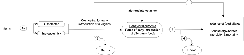 Figure 1 is the analytic framework that depicts the four Key Questions to be addressed in the systematic review. The figure illustrates how counseling interventions for the early introduction of allergens in unselected or increased-risk infants increase rates of early allergen intake and/or reduce food allergy and food allergy-related morbidity and mortality (Key Question 1), along with any related harms (Key Question 2). The figure also shows whether the early introduction of allergenic foods in unselected or increased-risk infants reduces food allergy and/or food allergy-related morbidity and mortality (Key Question 3), along with any related harms (Key Question 4).