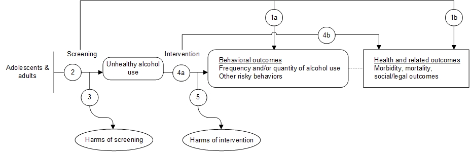 Figure 1 is the analytic framework that depicts the five Key Questions (KQ) to be addressed in the systematic review. The figure illustrates how screening for unhealthy alcohol use, followed by behavioral counseling interventions, may result in a reduction of alcohol use, other risky behaviors, and morbidity/morality, as well as improve social and legal outcomes (KQ1). Additionally, the figure illustrates the relationship between screening instruments (including evaluation of their accuracy [KQ2]) and potential harms of screening procedures (KQ3). The figure also shows Key Question 4 that examines how receipt of behavioral counseling interventions may lead to changes in behavioral (e.g., alcohol use) and health outcomes (e.g., morbidity/mortality). Finally, the figure depicts whether behavioral counseling interventions are associated with any harms (KQ5). 