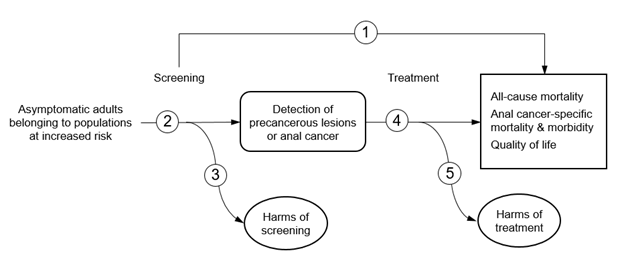 Figure 1 depicts the key questions within the context of the eligible populations, screenings/interventions, comparisons, outcomes, and settings. On the left, the population of interest is asymptomatic adults belonging to populations with increased risk for anal cancer. Moving from left to right, the figure illustrates the overarching question: Does screening for anal cancer in high-risk populations change all-cause mortality, anal cancer-specific mortality or morbidity or quality of life (KQ1)? The figure depicts the pathway from screening to reduction in all-cause mortality, anal cancer-specific mortality or morbidity, or quality of life to illustrate the questions: What is the accuracy of screening tests for anal cancer (KQ2)? Screening may result in harms (KQ4). After detection of precancerous lesions or anal cancer, the figure illustrates the following questions: What is the effectiveness of treatment of anal intraepithelial neoplasia and early-stage (Stage I), localized anal cancer (KQ3)? Treatment may result in harms (KQ5). 