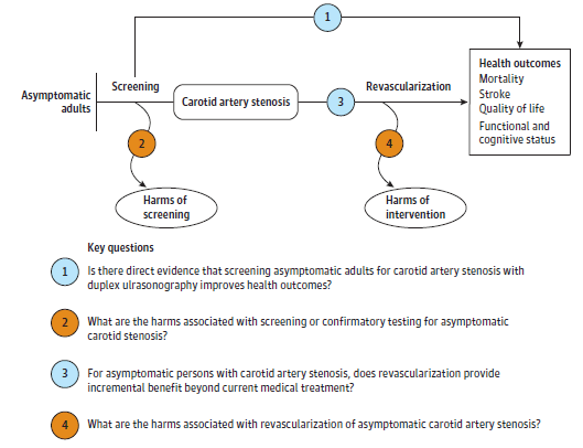 Figure is the analytic framework that depicts the four Key Questions to be addressed in the review. The figure illustrates how screening for carotid artery stenosis may result in improved health outcomes, including reducing mortality and stroke rate as well as improving quality of life, functional status, or cognitive status (KQ1). Additionally, the figure depicts the effects of revascularization of carotid artery stenosis on health outcomes in a previously screened, asymptomatic population (KQ3), as well as harms associated with screening (KQ2) and treatment (KQ4).  