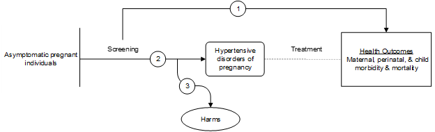 Figure 1 is the analytic framework that depicts the three Key Questions to be addressed in the systematic review. The figure illustrates how different screening programs used to identify hypertensive disorders of pregnancy among asymptomatic pregnant individuals may reduce maternal, perinatal, and child morbidity and mortality (KQ1). Additionally, the figure depicts how effective different screening programs used to identify hypertensive disorders of pregnancy among asymptomatic pregnant individuals may be (KQ2), as well as harms that may be associated with different screening programs used to identify hypertensive disorders of pregnancy among asymptomatic pregnant individuals (KQ3).