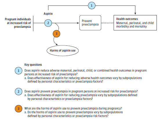 Figure 1 is an analytic framework that depicts the three Key Questions described in the Methods section of the report. In general, the figure illustrates how the use of aspirin prophylaxis can prevent preeclampsia and related adverse maternal and fetal health outcomes as well as possible harms.