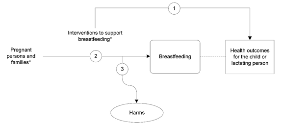 Figure 1 is the analytic framework that depicts the three Key Questions to be addressed in the systematic review. The figure illustrates how individual-level interventions to support breastfeeding may result in improved health outcomes in the child and lactating person (KQ1). Additionally, the figure illustrates how individual-level interventions to support breastfeeding may have an impact on the initiation, duration, intensity, and exclusivity of breastfeeding (KQ2). Further, the figure depicts whether individual-level interventions to support breastfeeding are associated with any harms (KQ3).