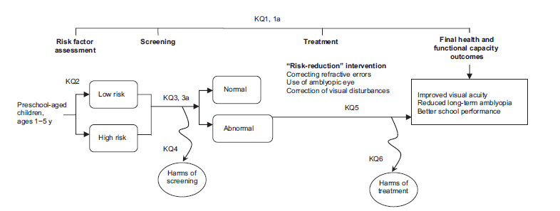 Figure 1 is an analytic framework that depicts the events that preschool-aged children experience while undergoing screening for vision impairment. The framework includes four headings: Risk Factor Assessment, Screening, Treatment, and Final Health and Functional Capacity Outcomes. The patient population undergoing risk factor assessment and screening is children ages 1 to 5 years. Treatment is one of the following risk reduction interventions: correcting refractive error, promoting use of the amblyopic eye, and correction of visual disturbances. The health outcomes include improved visual acuity, reduced incidence of long-term amblyopia, and better school performance. Potential harms of preschool vision screening include psychosocial effects, such as labeling and anxiety, unnecessary referrals due to false-positive screening results, and unnecessary use of corrective lenses or treatments to prevent amblyopia, with potential effects on long-term vision or function. Potential harms of amblyopia treatments include increased risk for short-term (reversible) visual acuity loss in the nonamblyopic eye and psychosocial distress and stigmatization.