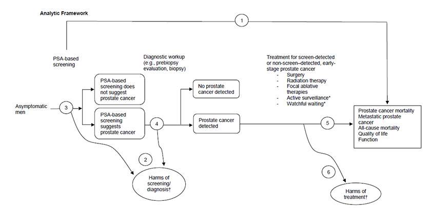 The analytic framework depicts the relationship between the population, screening, diagnostic workup, interventions, outcomes, and harms for prostate cancer screening. The far left of the framework describes the target population as asymptomatic men. To the right of the population is an arrow corresponding to key question 3 on PSA-based screening, which could or could not suggest prostate cancer. When PSA-based screening suggests prostate cancer, an arrow follows representing key question 4 on the diagnostic workup (e.g., prebiopsy evaluation, biopsy) to identify adults with prostate cancer or no prostate cancer. An arrow below corresponds to harms of screening or diagnosis (key question 2). When prostate cancer is detected, an arrow leads through the treatments for screen-detected or non-screen-detected, early-stage prostate cancer (which include surgery, radiation therapy, focal ablative therapies, active surveillance, and watchful waiting) to a final outcomes box representing the clinical outcomes of prostate cancer mortality, metastatic prostate cancer, all-cause mortality, quality of life, and function (key question 5). An arrow below corresponds to harms of treatment (key question 6). An overarching line from the population represents PSA-based screening and the effects of screening directly on the clinical outcomes (key question 1). A footnote on key questions 2 and 6 states harms related to overdiagnosis and overtreatment are included. A footnote on the active surveillance and watchful waiting interventions states that they are typically compared to more active treatments in trials.