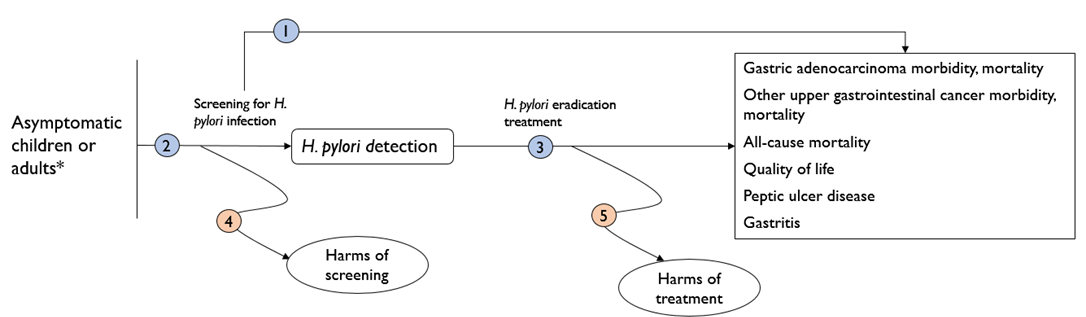 The analytic framework depicts the five Key Questions (KQs) described in the Research Plan. Specifically, it illustrates the following questions: whether screening for H. pylori infection in asymptomatic children or adults improves patient health outcomes (e.g., health-related quality of life; morbidity and mortality from gastric adenocarcinoma or other upper gastrointestinal cancers; all-cause mortality; peptic ulcer disease; gastritis) (KQ1); the diagnostic accuracy of screening tests for H. pylori infection in asymptomatic children or adults (KQ2); whether H. pylori eradication treatment in asymptomatic children or adults improves patient health outcomes (e.g., health-related quality of life; morbidity and mortality from gastric adenocarcinoma or other upper gastrointestinal cancers; all-cause mortality; peptic ulcer disease; gastritis) (KQ3); the harms of screening for H. pylori infection in asymptomatic children or adults (KQ4); and the harms of eradication treatment of H. pylori infection in asymptomatic children or adults (KQ5).