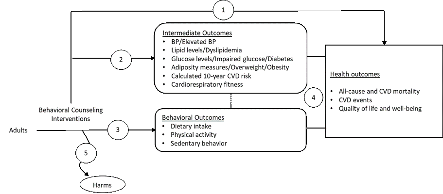 Figure 1 is the analytic framework that depicts the five Key Questions to be addressed in the systematic review. The figure illustrates how behavioral counseling interventions may result in a reduction of all-cause and CVD mortality, CVD events, and quality of life measures (KQ1). Additionally, the figure illustrates how interventions may have an impact on intermediate cardiometabolic outcomes (KQ2) and behavioral outcomes (KQ3). The figure shows Key Question 4 that examines how changes in intermediate outcomes and changes in behavioral outcomes may related to health outcomes. Finally, the figure depicts whether behavioral counseling interventions are associated with any harms (KQ5).  