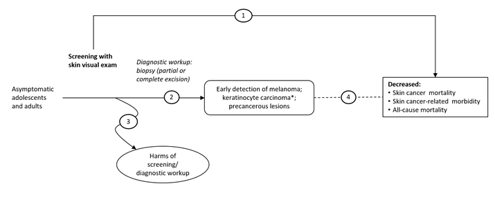 The analytic framework depicts the four Key Questions (KQs) described in the Research Plan. Specifically, it illustrates the following questions: whether routine skin cancer screening reduces skin cancer morbidity and mortality and all-cause mortality (KQ1); whether routine skin cancer screening leads to earlier detection of skin cancer or precancerous lesions compared to usual care (KQ2); the harms of skin cancer screening and diagnostic followup (KQ3); and the association between earlier detection of skin cancer and skin cancer morbidity and mortality and all-cause mortality (KQ4).