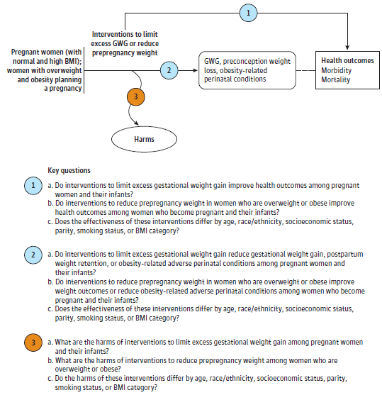 The analytic framework depicts the relationship between the population, intervention, outcomes, and potential harms of interventions. The far left of the framework describes the target population as pregnant women with normal and high body mass index, as well as overweight and obese women planning a pregnancy (including adolescents). To the right of the population is an arrow which represents effects of interventions to limit excess gestational weight gain on gestational weight gain, postpartum weight retention, or obesity-related adverse perinatal conditions (key question 2). Another arrow leads to potential harms of interventions to limit excess gestational weight gain (key question 3). An arrow above the population leads to outcomes of morbidity and mortality (key question 1). There is a dotted line linking gestational weight gain and obesity-related conditions (key question 2) and morbidity and mortality. 