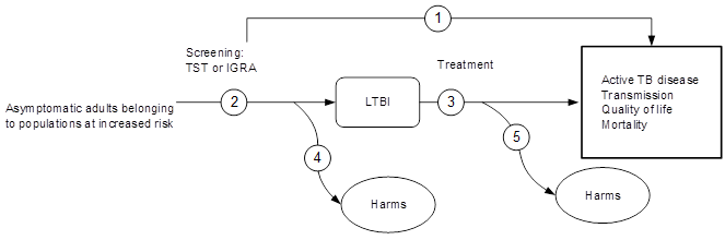 Figure 1 depicts the key questions within the context of the eligible populations, screenings/interventions, comparisons, outcomes, and settings. On the left, the population of interest is asymptomatic adults belonging to populations with increased risk for latent tuberculosis infection (LTBI). Moving from left to right, the figure illustrates the overarching question: Does targeted screening for LTBI in primary care settings in asymptomatic adults at increased risk for developing active tuberculosis disease (TB) improve quality of life or reduce active TB disease incidence, transmission of TB, or disease-specific or overall mortality (KQ1)? The figure depicts the pathway from screening to reduction in the development of active TB, transmission, quality of life and mortality of LTBI to illustrate the questions: What is the accuracy and reliability of the tuberculin skin test (TST) or interferon gamma release assay (IGRA) for screening asymptomatic adults at increased risk for developing active TB and what is the accuracy and reliability of sequential screening strategies that use TST and IGRA (KQ2a/KQ2b)? Screening may result in harms (KQ4). After detection of LTBI, the figure illustrates the following questions: Does treatment of LTBI with Centers for Disease Control and Prevention recommended pharmacotherapy regimens improve quality of life or reduce progression to active TB disease, transmission of TB, or disease-specific or overall mortality (KQ3)? Treatment may result in harms (KQ5). 