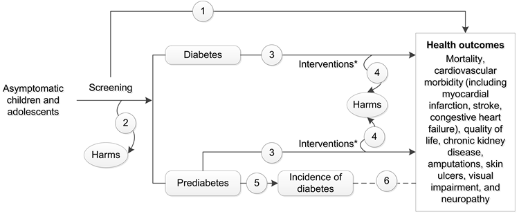 •	Figure 1 depicts the key questions within the context of the eligible populations, screenings/interventions, comparisons, outcomes, and settings. On the left, the population of interest is asymptomatic children and adolescents. Moving from left to right, the figure illustrates the overarching question: Is there direct evidence that screening for type 2 diabetes and prediabetes in asymptomatic children and adolescents improves health outcomes (KQ 1)? Screening may result in harms (KQ 2). After diagnosis of type 2 diabetes or prediabetes, the figure illustrates the following questions: Do interventions provide an incremental benefit in health outcomes when delivered at the time of detection compared with initiating interventions later, after clinical diagnosis (KQ 3a); and do interventions improve health outcomes compared with no intervention, usual care, or interventions with different treatment targets (KQ 3b)? For recently diagnosed type 2 diabetes, the figure illustrates the question: Do interventions improve health outcomes compared with no intervention, usual care, or interventions with different treatment targets (KQ 3c)? Interventions may result in harms (KQ 4). For prediabetes, the figure depicts the questions: Do interventions delay or prevent progression to type 2 diabetes (KQ 5); and after intervention, what is the magnitude of change in health outcomes that results from the reduction in type 2 diabetes incidence (KQ 6)? 