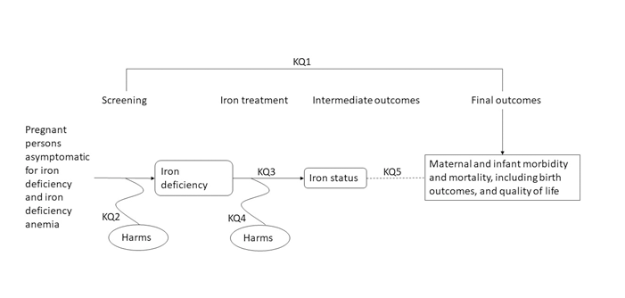 The analytic framework depicts the populations, interventions, outcomes, and harms of interest for screening for iron deficiency and iron deficiency anemia in pregnant persons. The far left of the framework describes the target population as pregnant persons asymptomatic for iron deficiency and iron deficiency anemia. To the right is screening. An arrow leads directly from screening to a box containing the health outcomes maternal and infant morbidity and mortality, including birth outcomes, and quality of life (Key Question 1). Below screening is an oval for harms of screening (Key Question 2). To the right of screening is a box for iron deficiency. An arrow to the right of iron deficiency represents the intervention iron treatment and leads to the intermediate outcome of iron status (Key Question 3). Below the intervention is an oval for harms of iron treatment (Key Question 4). A dotted line to the right of iron status represents the connection between iron status and health outcomes maternal and infant morbidity and mortality, including birth outcomes, and quality of life (Key Question 5). 