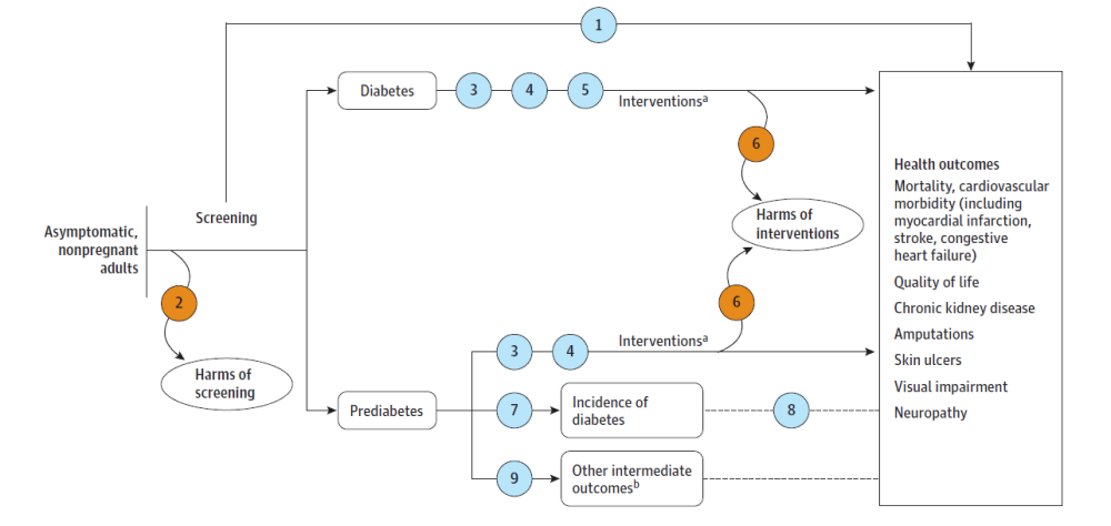 Analytic Framework depicts the key questions within the context of the eligible populations, screenings/interventions, comparisons, outcomes, and settings. On the left, the population of interest is non-pregnant adults without symptoms or a diagnosis of diabetes. Moving from left to right, the figure illustrates the overarching question: Is there direct evidence that screening for type 2 diabetes and prediabetes in asymptomatic adults improves health outcomes (KQ1)? Screening may result in harms (KQ2). After diagnosis of type 2 diabetes or prediabetes, the figure illustrates the following questions: Do interventions provide an incremental benefit in health outcomes when delivered at the time of detection compared with initiating interventions later, after clinical diagnosis (KQ3) and do interventions improve health outcomes compared with no interventions, usual care, or different treatment targets (KQ4)? For recently diagnosed type 2 diabetes, the figure illustrates the question: Do interventions improve health outcomes compared with no interventions, usual care, or different treatment targets (KQ5)? Interventions may result in harms (KQ6). For prediabetes, the figure depicts the questions: Do interventions delay or prevent progression to type 2 diabetes (KQ7) and after intervention, what is the magnitude of change in health outcomes that results from a specified change in type 2 diabetes incidence (KQ8)? The figure also depicts the question: Do interventions for prediabetes improve other intermediate outcomes (blood pressure, lipids, BMI, weight, and calculated 10-year cardiovascular disease risk) (KQ9)?