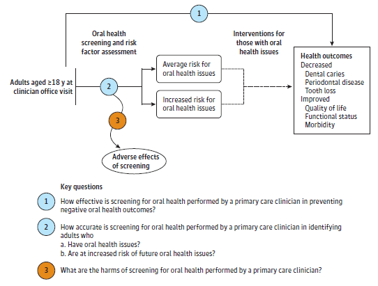 The analytic framework depicts the relationship between the population, screening, interventions, outcomes, and potential harms of screening for oral health. The far left of the framework shows the target population for screening as adults at least 18 years of age at a clinician office visit. To the right of the population is an arrow corresponding to key question 2, which represents the accuracy of screening and risk factor assessment, identifying those at average or increased risk for oral health issues. This step may lead to harms, which corresponds to key question 3. Arrows show that adults at either risk level with oral health issues may receive interventions, with the aim of decreased dental caries, periodontal disease, and tooth loss, and improved quality of life, functional status, and morbidity. These outcomes are represented in a box at the end of the pathway. An overarching arrow representing key question 1 represents the effect of screening on these outcomes of interest.