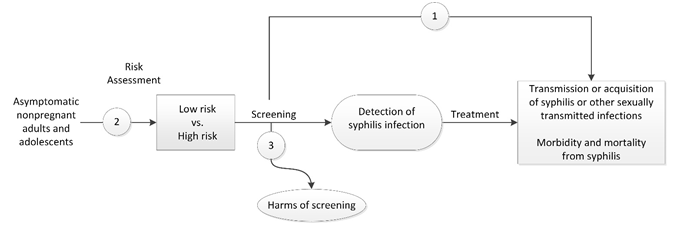 Figure 1 is the analytic framework that depicts the three Key Questions to be addressed in the systematic review. The figure illustrates how screening for syphilis infection in asymptomatic, nonpregnant adolescents and adults may result in improved health outcomes, including decreased transmission or acquisition of syphilis or other sexually transmitted infections, and reduced morbidity and mortality (Key Question 1). Additionally, the figure illustrates whether risk assessment instruments or other risk stratification methods can identify asymptomatic nonpregnant adults and adolescents at increased risk for syphilis infection (Key Question 2).The figure also shows whether screening for syphilis infection is associated with any harms (Key Question 3).