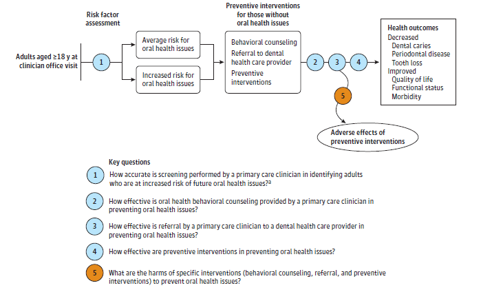 The analytic framework depicts the relationship between the population, preventive interventions, outcomes, and potential harms of interventions to prevent oral health issues. The far left of the framework describes the target population as adults at least 18 years of age at a clinician office visit. To the right of the population is an arrow corresponding to key question 1 which represents accuracy of risk factor assessment, identifying those at average or increased risk for oral health issues. Arrows show that adults at either risk level without oral health issues would receive preventive interventions of behavioral counseling, referral to a dental health care provider, and preventive intervention, representing key questions 2, 3, and 4 respectively, with the aim of decreased dental caries, periodontal disease, and tooth loss, and improved quality of life, functional status, and morbidity. These outcomes are represented in a box at the end of the pathway. Preventive interventions may lead to harms, which are represented by an arrow for key question 5.