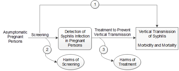 The analytic framework depicts the key questions within the context of the eligible populations, screenings, treatments, comparisons, outcomes, settings, and study designs. On the left, the population of interest is asymptomatic pregnant persons. Moving from left to right, the figure illustrates the overarching key question (KQ): Does screening for syphilis in pregnant persons reduce the incidence of congenital syphilis in newborns? (KQ 1). Screening may result in harms (KQ 2). After detection of syphilis infection in pregnant persons, the figure illustrates the following question: What are the harms of treatment of syphilis with penicillin during pregnancy to pregnant persons or newborns? (KQ 3).